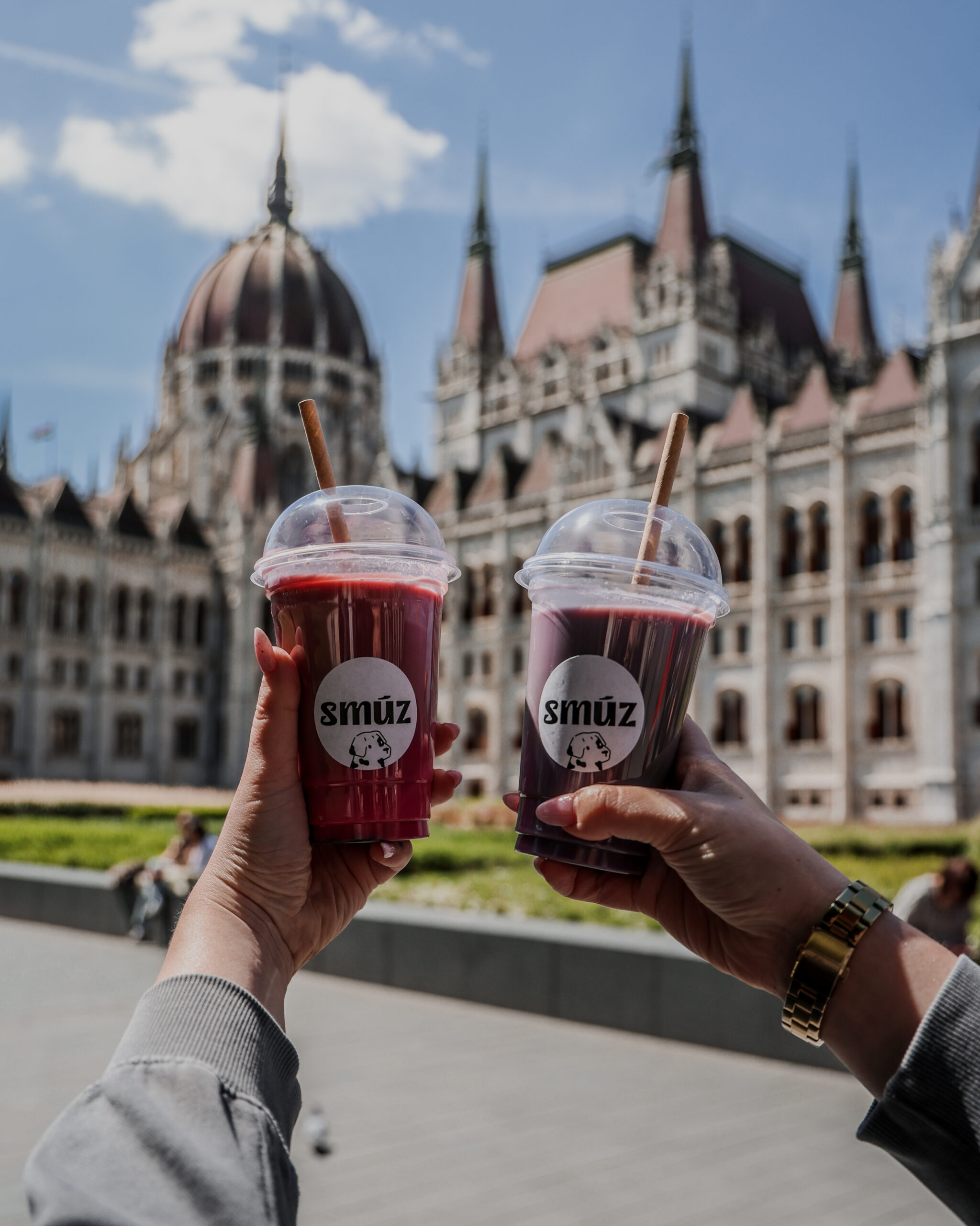 Smúz Lab – színes superfood italok és koktélok a Parlament mellett, Budapesten