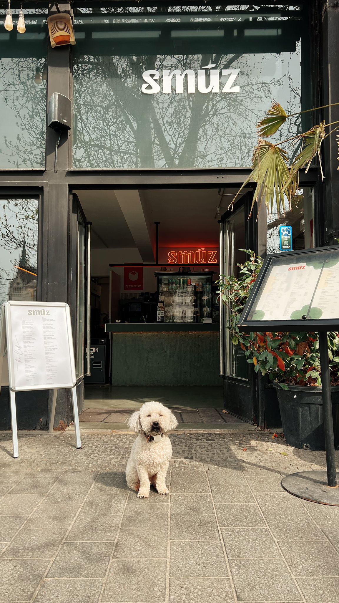 Qerko digitális rendelés – okostelefonos fizetés a Smúz Café & Bar-ban